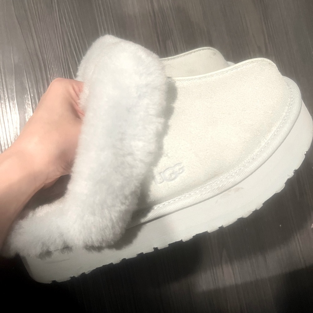 Rare goose color Ugg Disquette